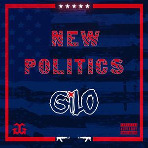 New Politics