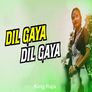 Dil Gaya Dil Gay