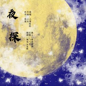 夜探(混合双打版)