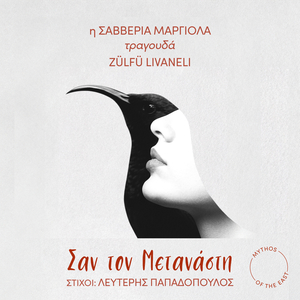 San Ton Metanasti (Kardeşin Duymaz)