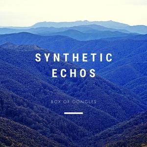 Synthetic Echos