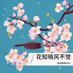 春知晓梦不觉（伴奏）