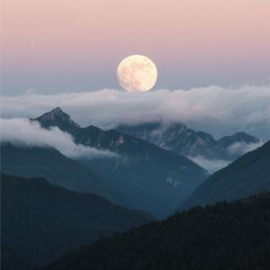 夜阑无梦
