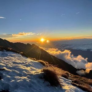 蝉鸣鼓点下的夏日光影