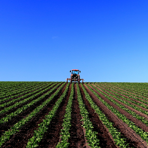 あの空に向かって