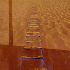 红灯停(Stop at Red Light)