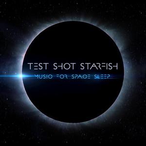 Companions of a Sunlike Star