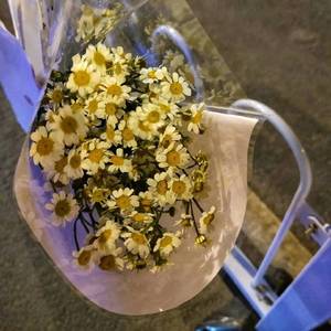 flower（prod by K.Ray）