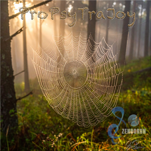 Zürisee-Groove