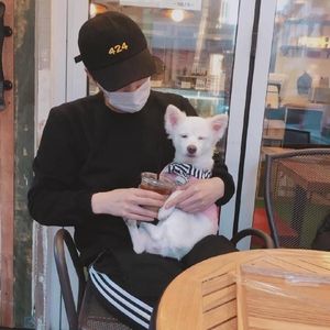 生活中闪耀的快乐瞬间