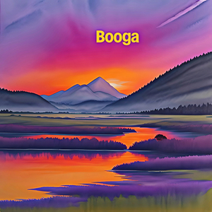 Booga
