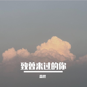 致曾来过的你（久别如何重逢）