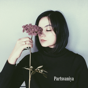 Двадцать