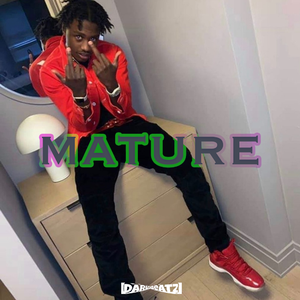 Free Lil Tjay x Polo G type beat “Mature”