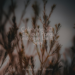 Caricias sedosas del verano