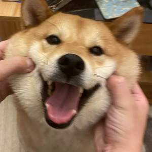 女朋友要带回家