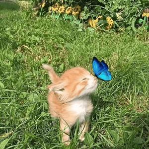 No Love (feat. Lil Wayne, Big Pun, The Game & Curren$y)