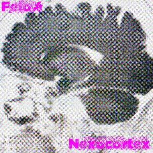 Nexocortex