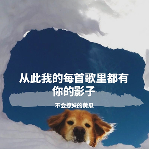 从此我的每首歌里都有你的影子
