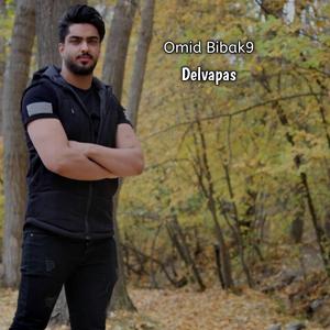 Delvapas