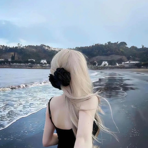 如果我能做帝王