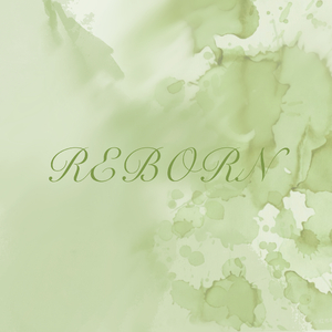 百转千回终向阳（Reborn）