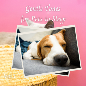 AnoTher Saturday Night