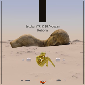 Reborn (Extended Mix)