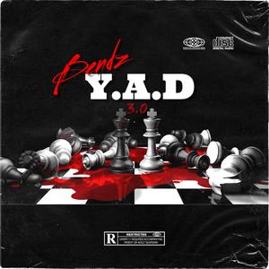 Y.A.D 3.0