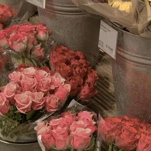 泡沫 (Swang Remix)