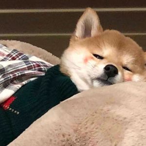 坏女孩（女生版）