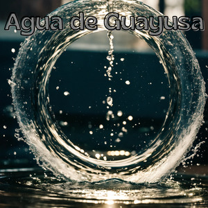 Agua de Guayusa