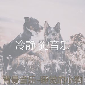 精力充沛(睡觉的小狗)