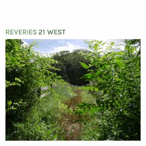 spring spring spring