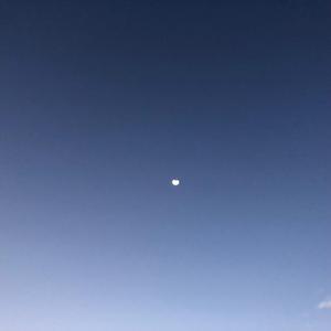 达尔文