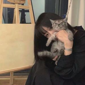 摸不透你的心（降调）