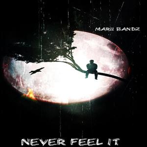 Never Feel It