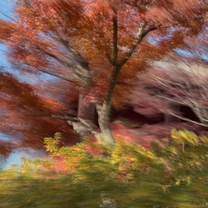 everything reminds me of you