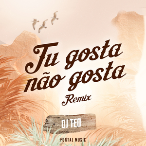 Tu Gosta Não Gosta (Remix)