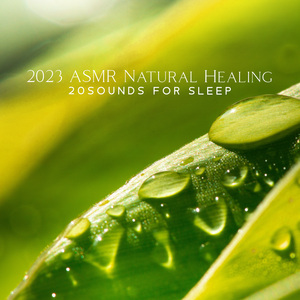 Rain, Wind and Thunderstorm at Night