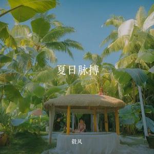 夏日脉搏