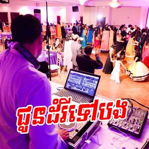 ជូនដំរីទៅបង