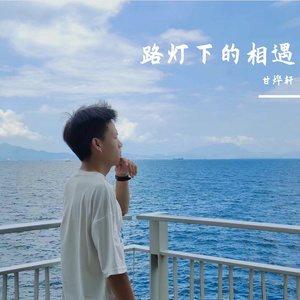 路灯下的相遇