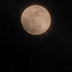 用成长换明天，丢了你的笑脸