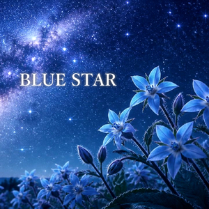 月と星の詩