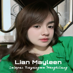 Selepas Bayangmu Menghilang