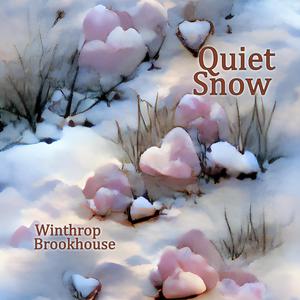 Quiet Snow