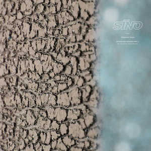 Minimalism A1 (Ben Klock Remix)