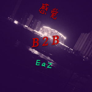 感觉 B2B EaZ 5月20日重置