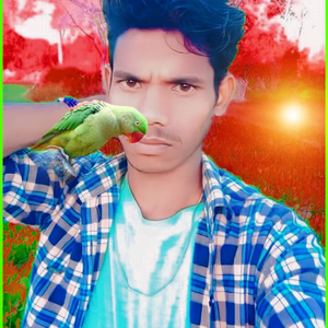 फायरिंग सॉन्ग